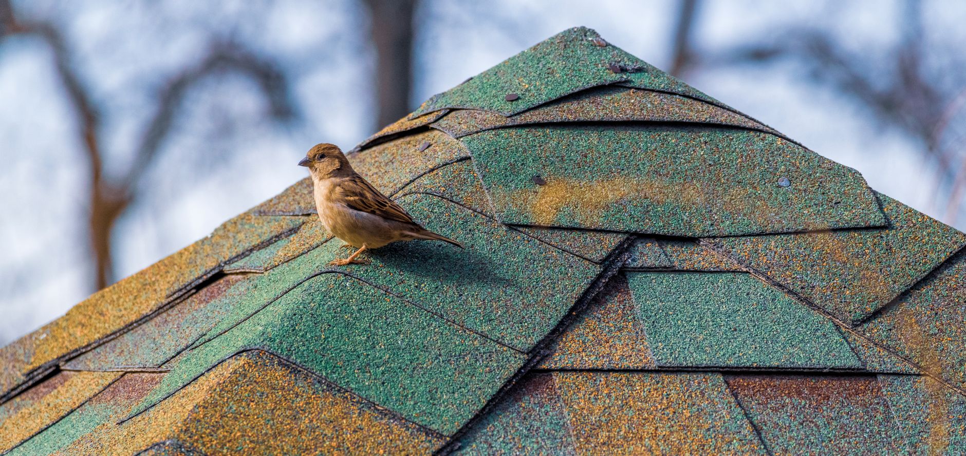 Storm Damage Repair – Seguin
